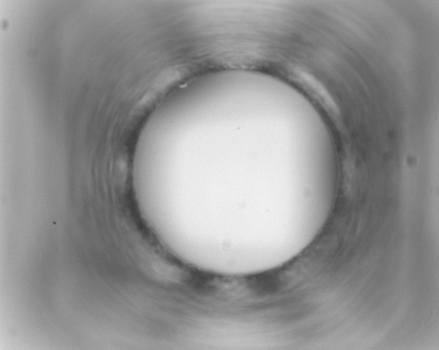 X0000088640113200706151952