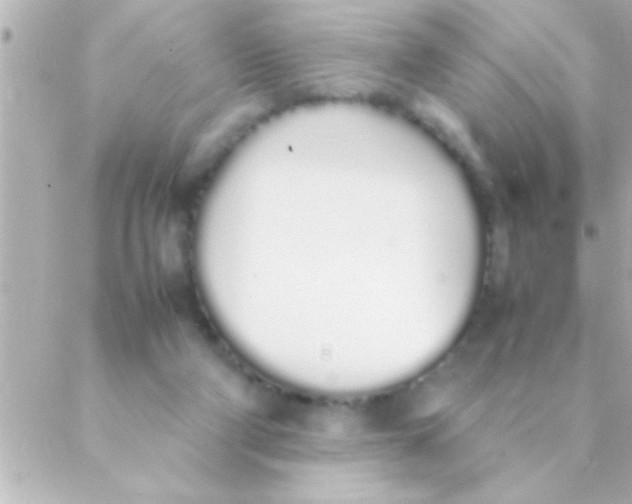 X0000088640114200706151952