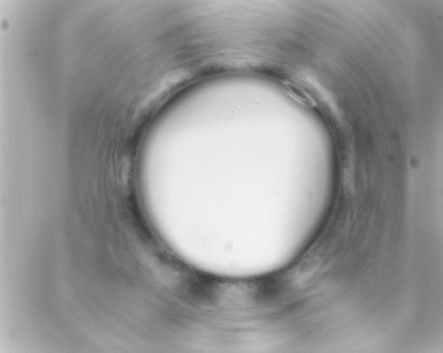 X0000088640115200706151952