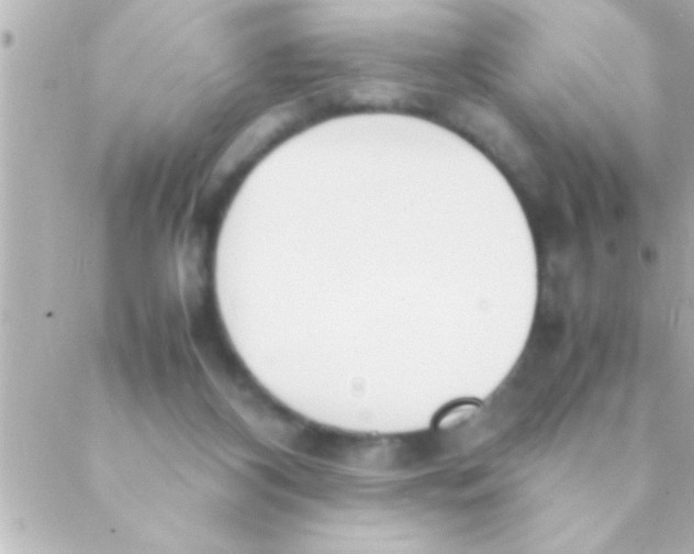 X0000088640116200706151952