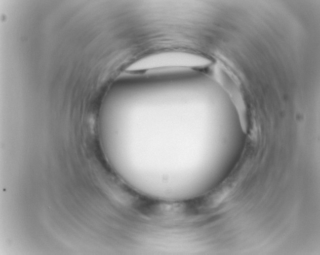 X0000088640117200706151952