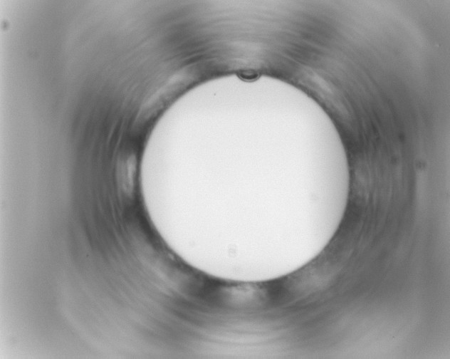 X0000088640118200706151952