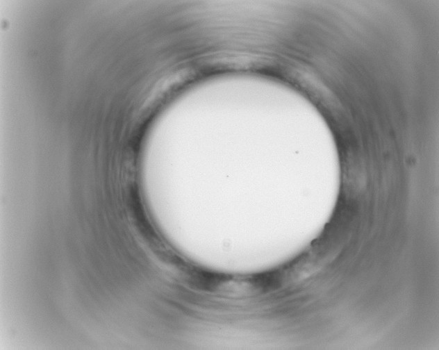 X0000088640119200706151952