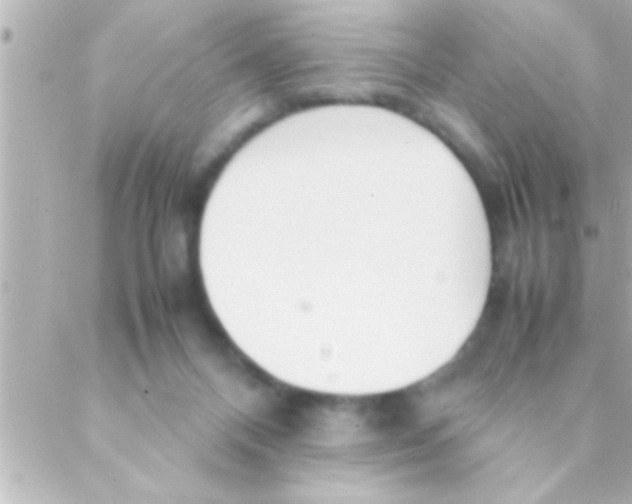 X0000088640120200706151952