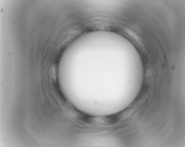 X0000088640121200706151952