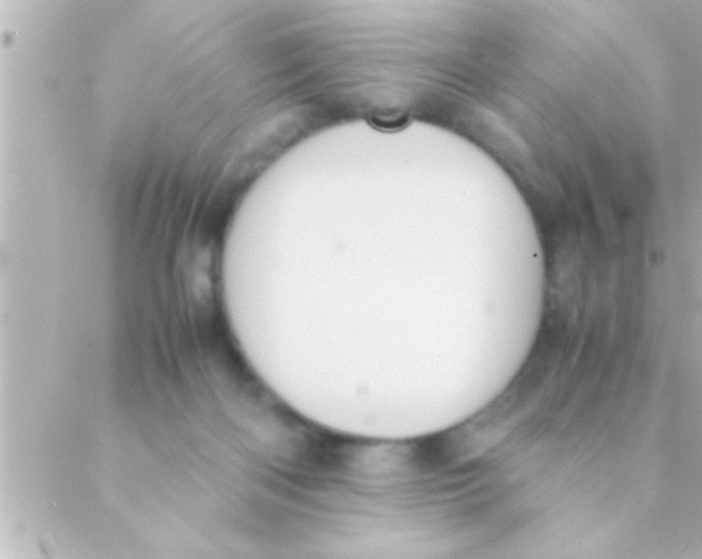 X0000088640122200706151952