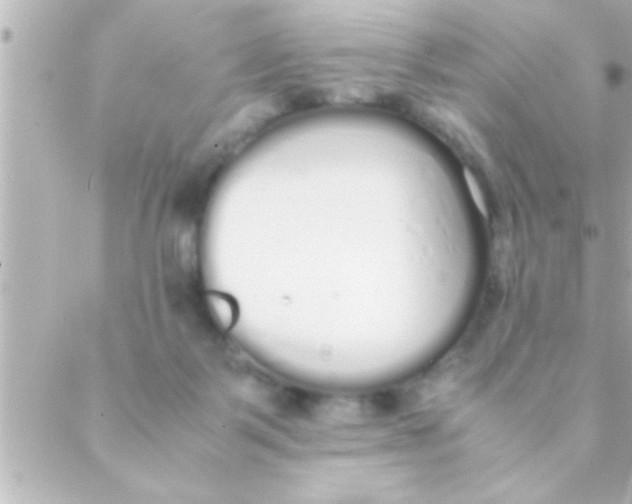 X0000088640123200706151952