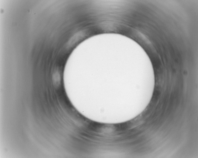 X0000088640124200706151952