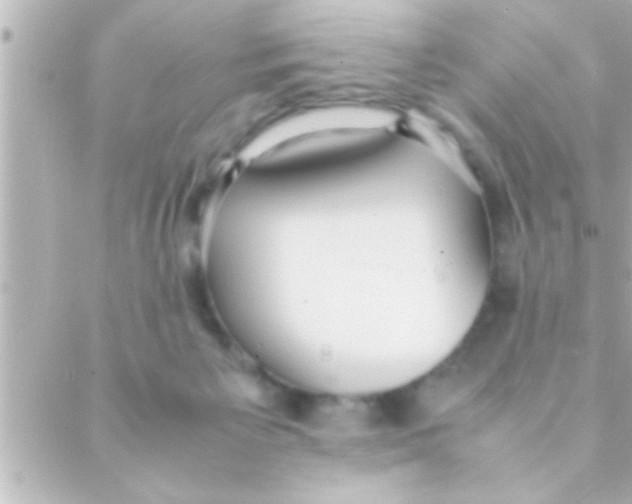 X0000088640125200706151952