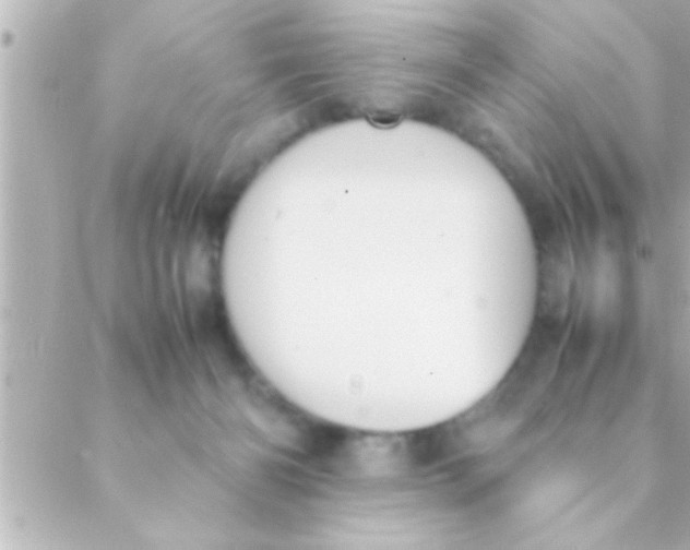 X0000088640126200706151952