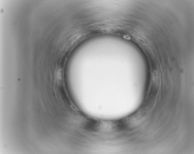 X0000088640127200706151952