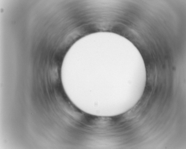 X0000088640128200706151952