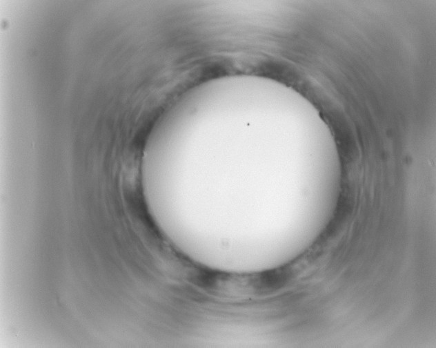 X0000088640129200706151952