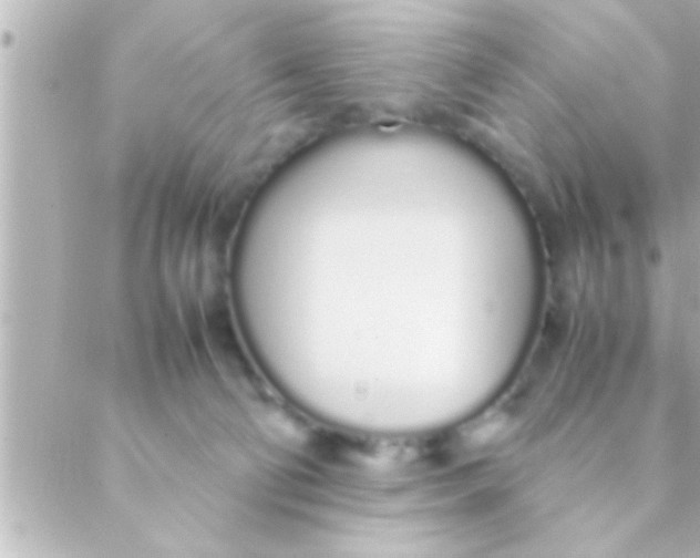 X0000088640130200706151952