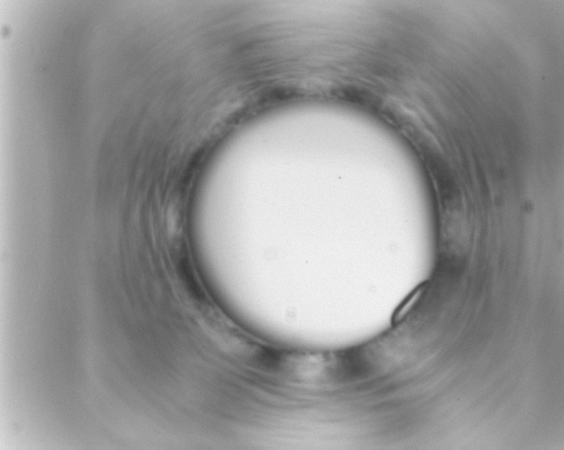 X0000088640131200706151952