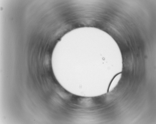 X0000088640132200706151952