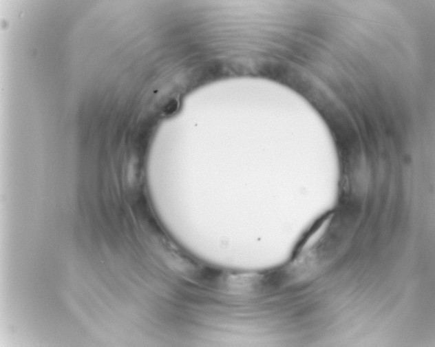 X0000088640134200706151952