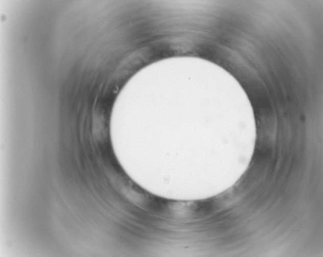 X0000088640136200706151952