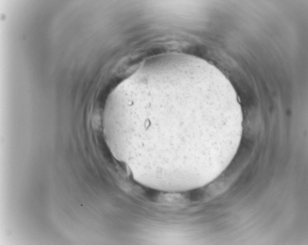 X0000088640137200706151952