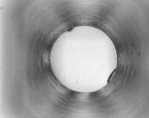 X0000088640138200706151952