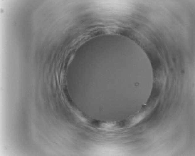 X0000088640139200706151952