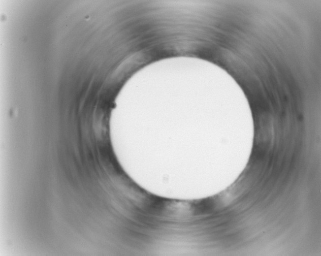 X0000088640140200706151952