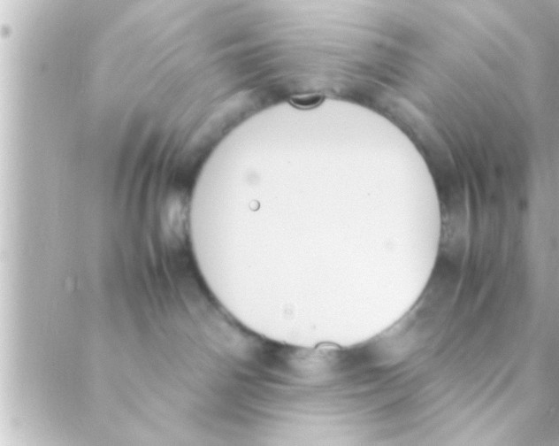 X0000088640142200706151952