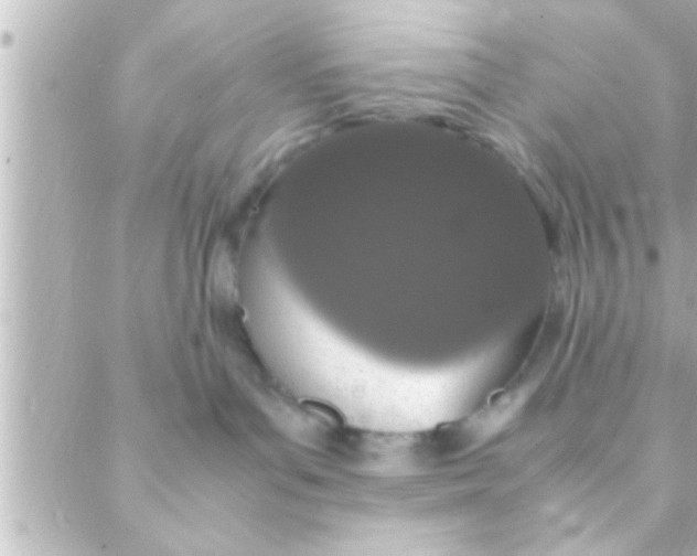 X0000088640143200706151952