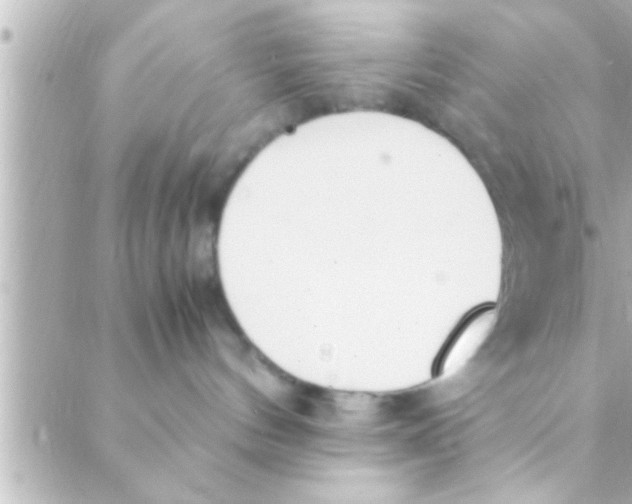 X0000088640144200706151952