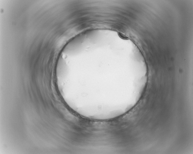 X0000088640145200706151951