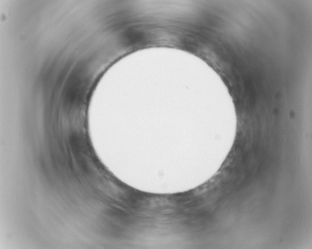 X0000088640146200706151951