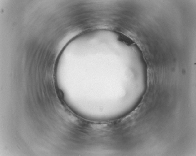 X0000088640147200706151951