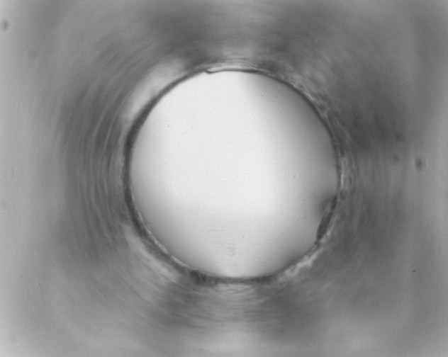 X0000088640150200706151951