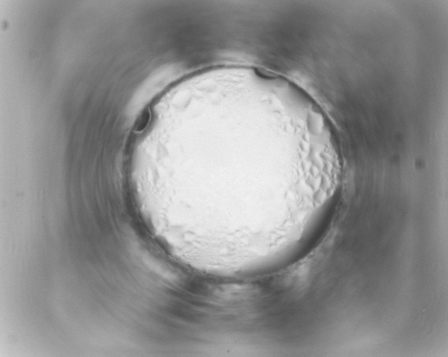 X0000088640151200706151951