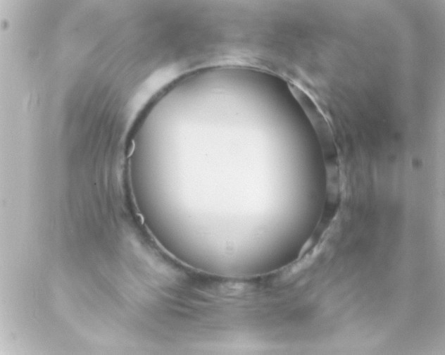 X0000088640152200706151951