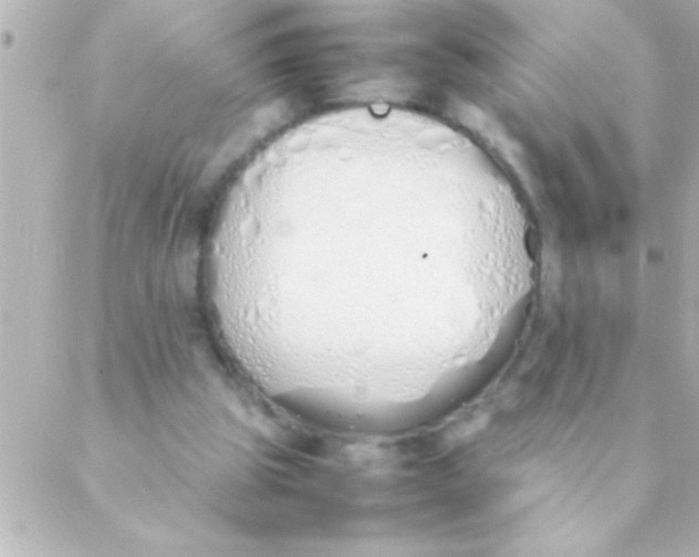 X0000088640153200706151951