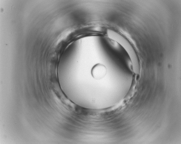 X0000088640154200706151951