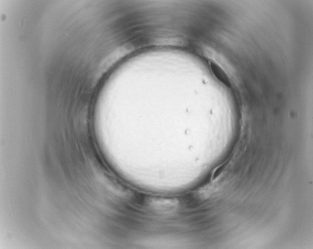 X0000088640155200706151951