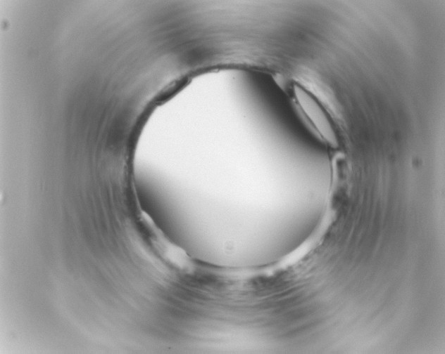 X0000088640156200706151951