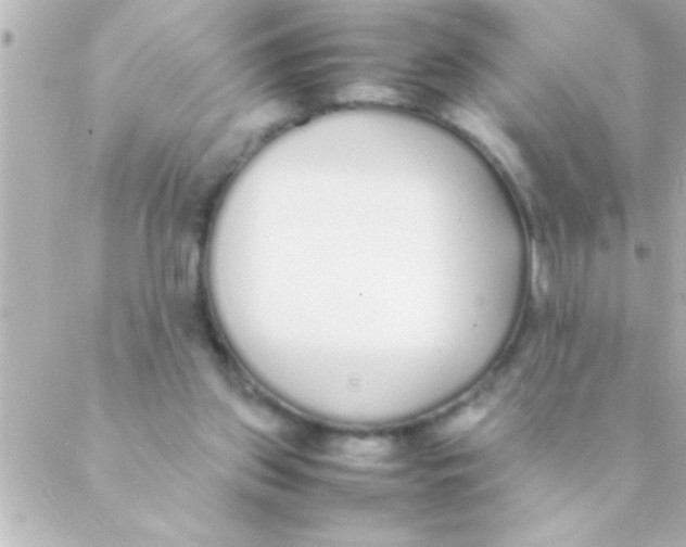 X0000088640157200706151951