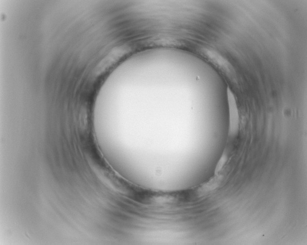 X0000088640158200706151951