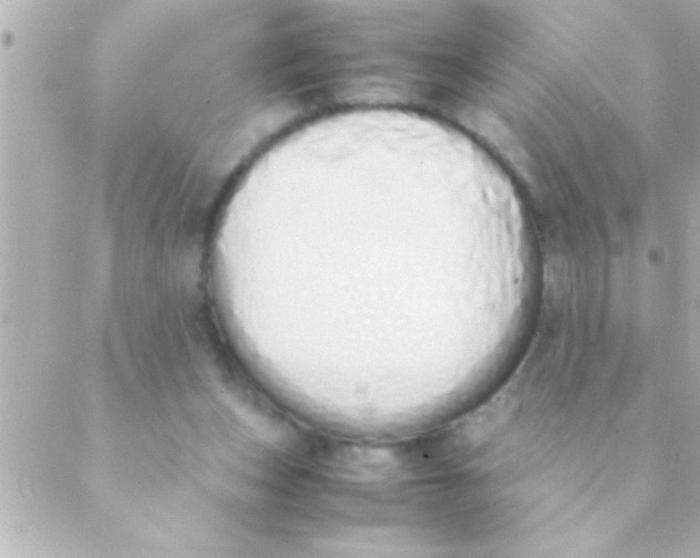 X0000088640159200706151951