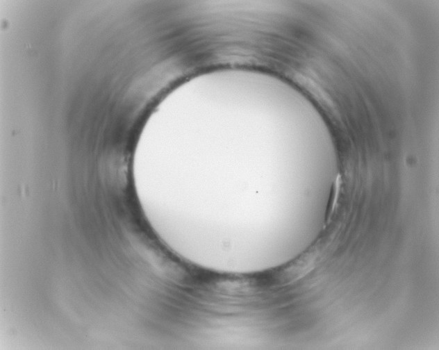 X0000088640160200706151951