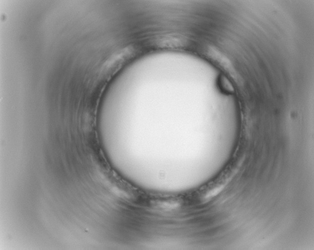 X0000088640161200706151951