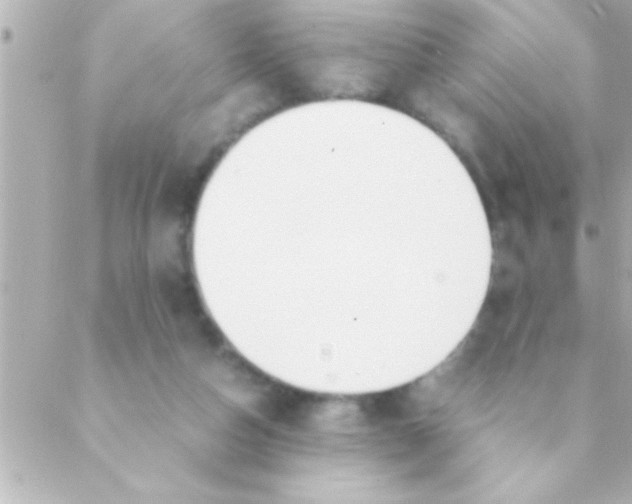 X0000088640162200706151951