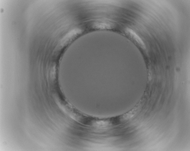 X0000088640163200706151951