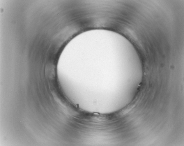 X0000088640164200706151951