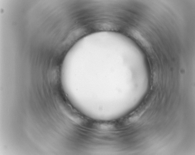 X0000088640165200706151951