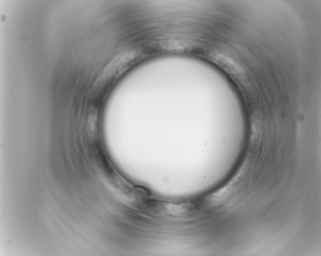 X0000088640166200706151951