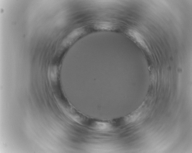 X0000088640167200706151951